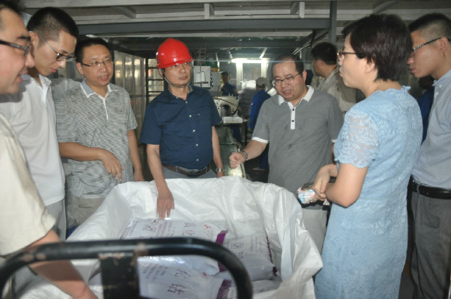 集團(tuán)副總裁熊基凱蒞臨廣西銀億公司視察